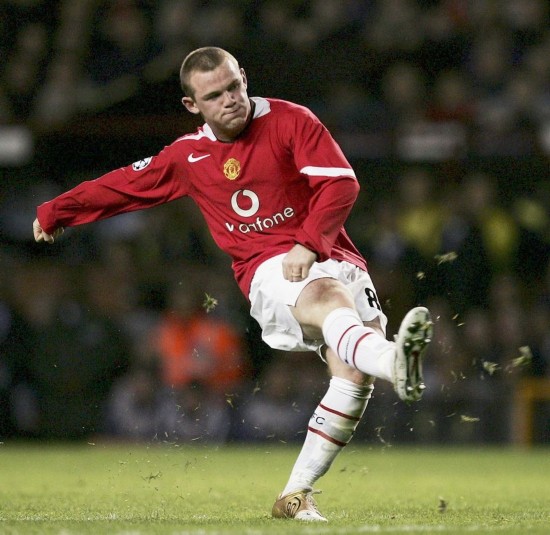 已自然融入 已自然融入